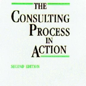 The Consulting Process in Action