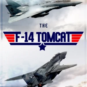 F-14 Tomcat