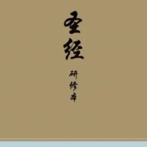 Chinese Study Bible (Hardcover)
