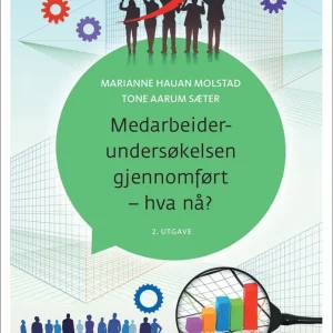 Medarbeiderundersøkelsen gjennomført – hva nå?