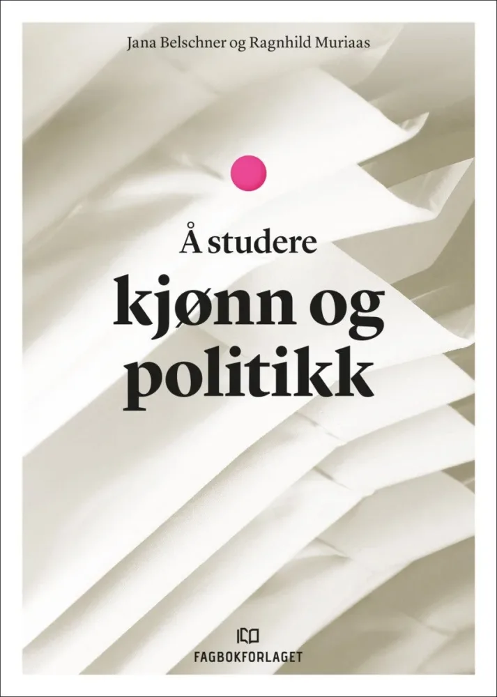 Å studere kjønn og politikk - Bilde 2