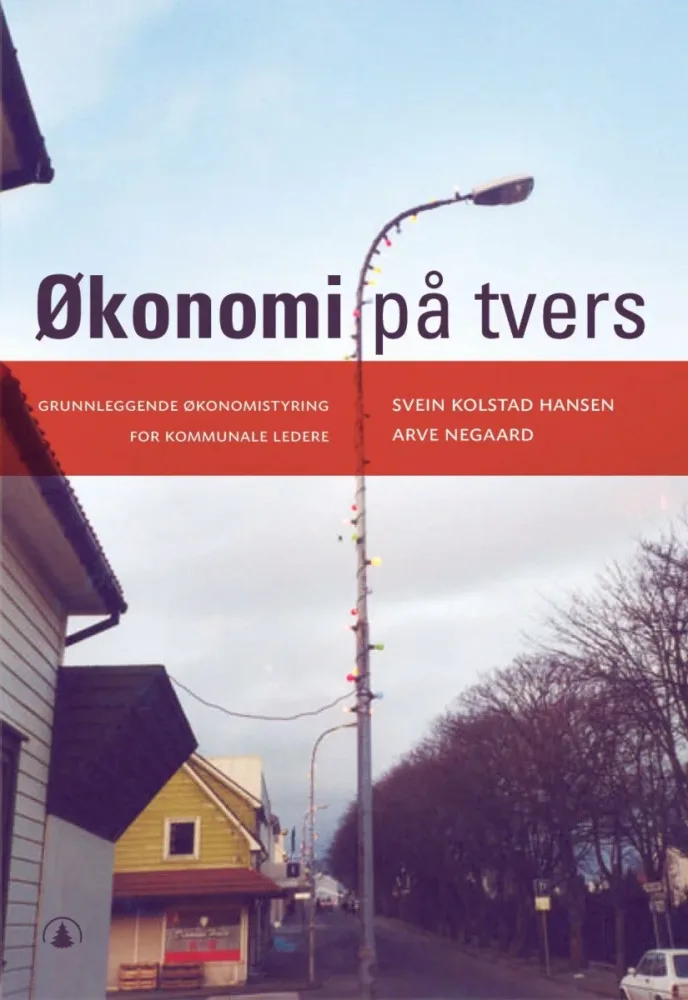 Økonomi på tvers - Bilde 2
