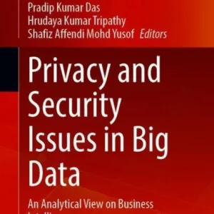 Privacy and Security Issues in Big Data