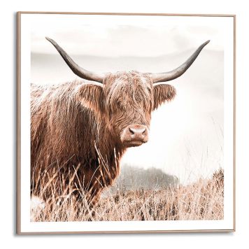 DEKORBILDE REINDERS NATURE COW SLIM RAMME 50X50CM TRE DEKORBILDE REINDERS NATURE COW SLIM RAMME 50X50CM TRE