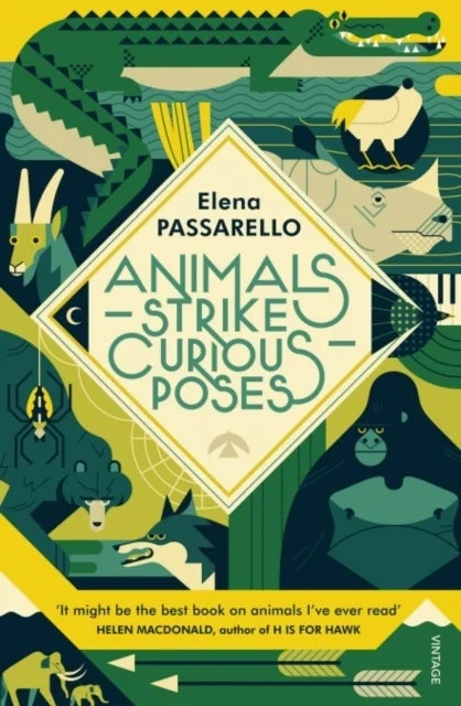 Animals Strike Curious Poses - Bilde 2