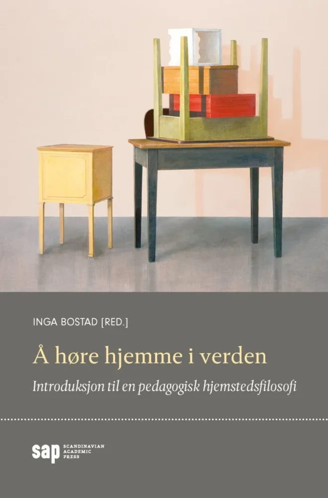 Å høre hjemme i verden - Bilde 2