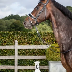 Dyon Patent Large Crank Noseband Bridle With White Padding And Flash New English Collection