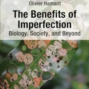 The Benefits of Imperfection