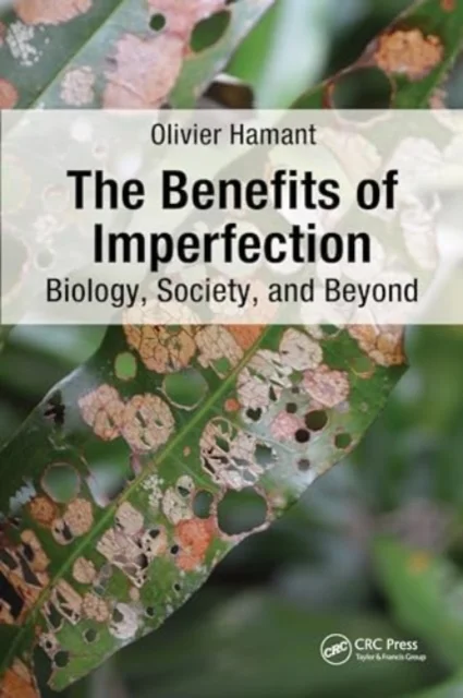 The Benefits of Imperfection