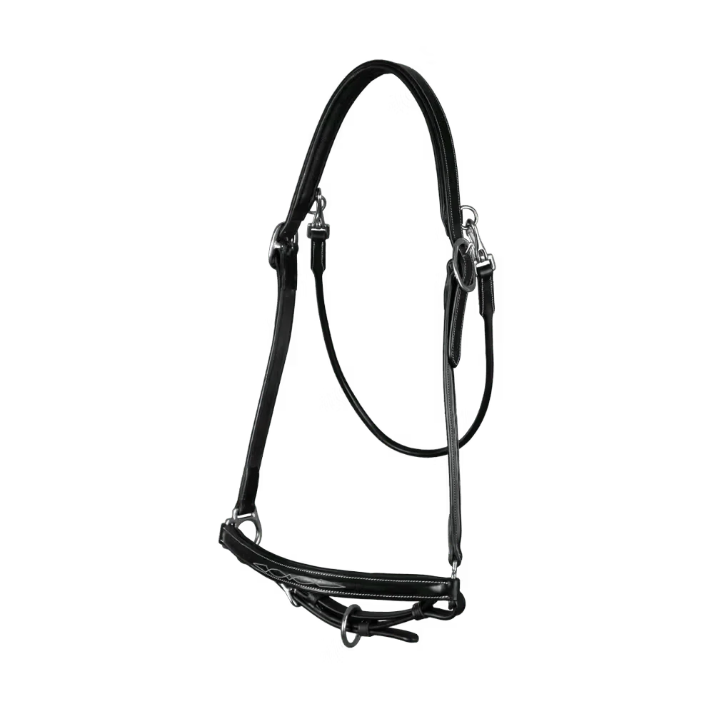 Dyon Grooming Head Collar Working By Dyon