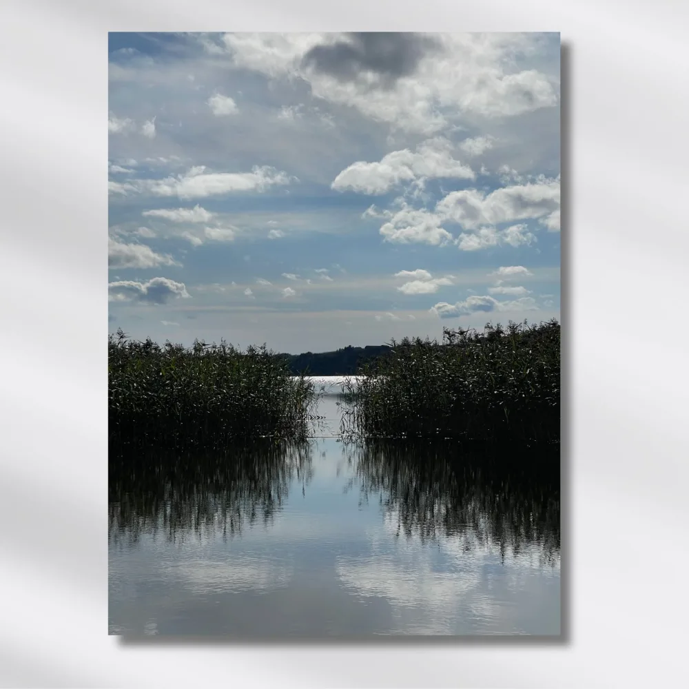 LØMSEN - SIV OG SKYER - PLAKAT OG LERRET - Bilde 3