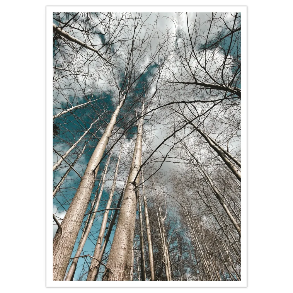THE SKY IS THE LIMIT – PLAKAT OG LERRET THE SKY IS THE LIMIT – PLAKAT OG LERRET