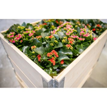 PALLEKARM SPESIAL 1200X300MM NATUR