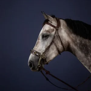 Dyon Hackamore Bridle New English Collection