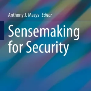 Sensemaking for Security