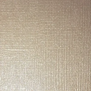 Reprint – Kartong med shimmer – silver / sølv 12×12` Reprint – Kartong med shimmer – silver / sølv 12×12`