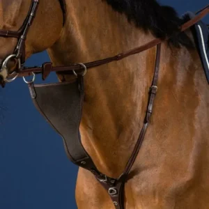 Dyon Elastic BIB Martingale Attachment New English Collection
