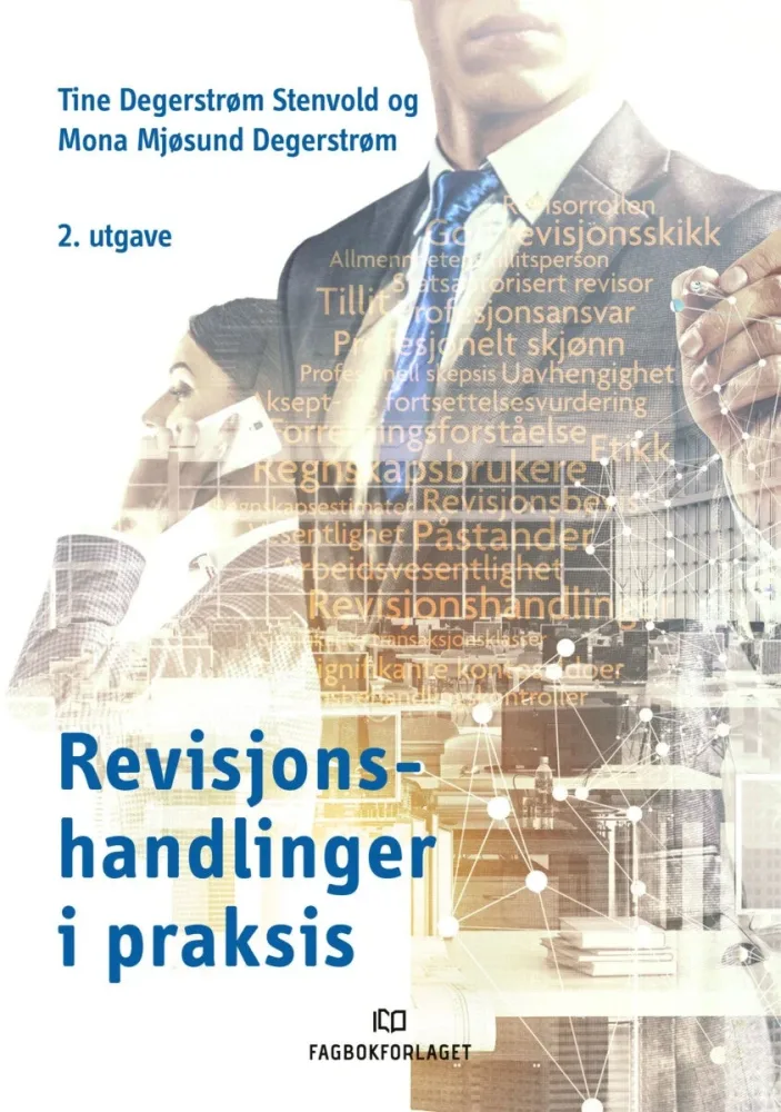 Revisjonshandlinger i praksis - Bilde 2