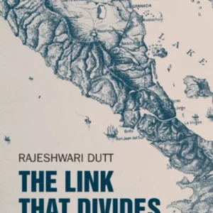 The Link That Divides The Link That Divides