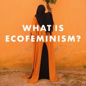 What is Ecofeminism?
