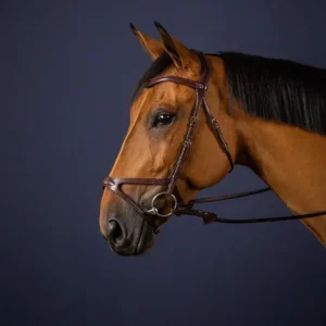 Dyon X-Fit Bridle New English Collection