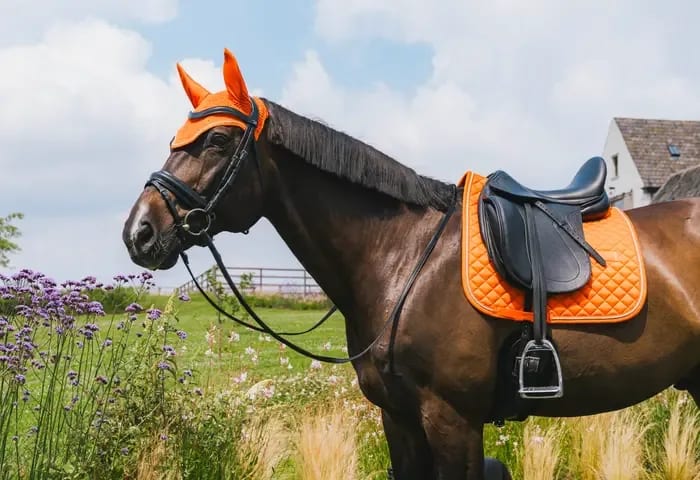 Kentucky Fly Veil Wellington Diamond Rope