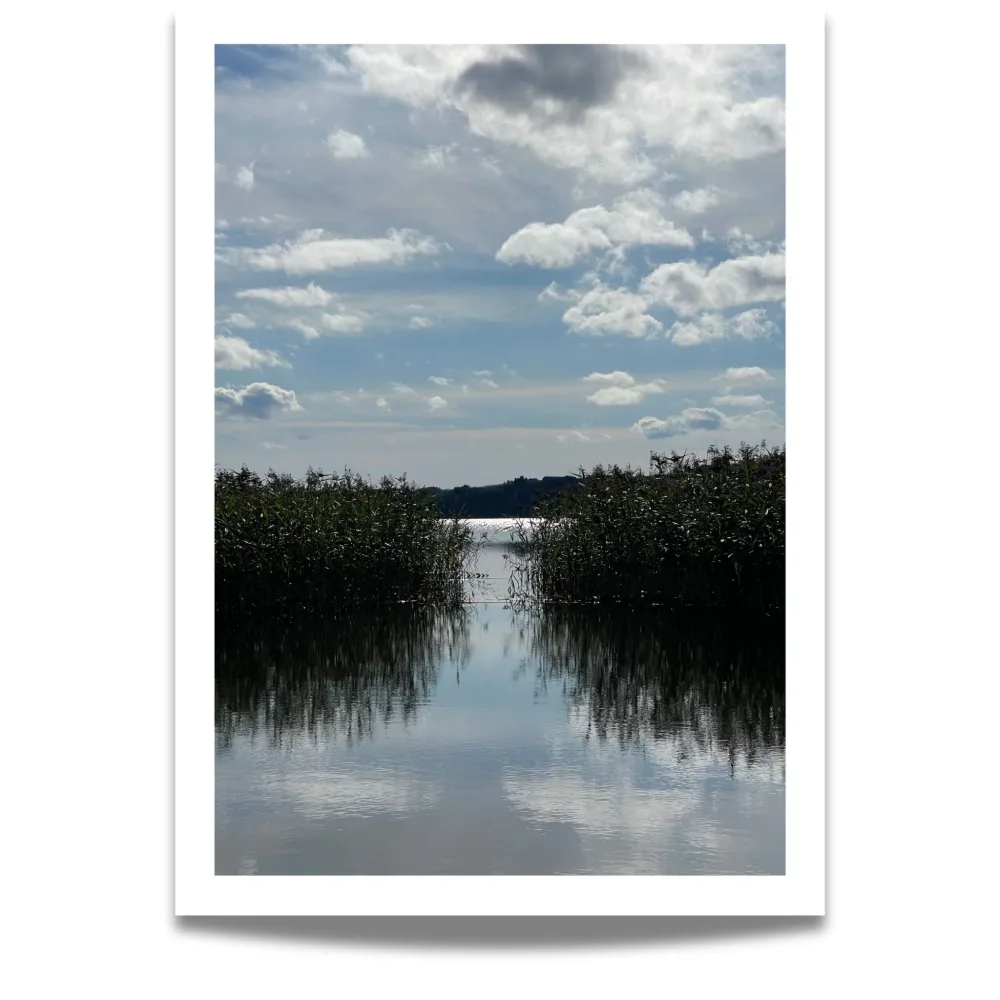 LØMSEN - SIV OG SKYER - PLAKAT OG LERRET