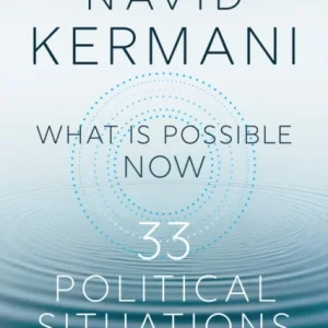 What is Possible Now – 33 Political Situations