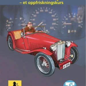 Den erfarne sjåfør Den erfarne sjåfør