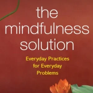 The Mindfulness Solution The Mindfulness Solution
