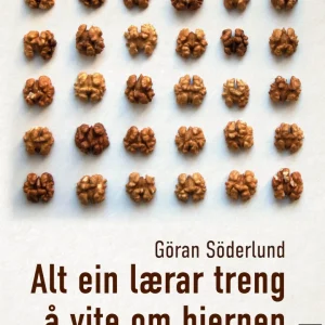 Alt ein lærar treng å vite om hjernen