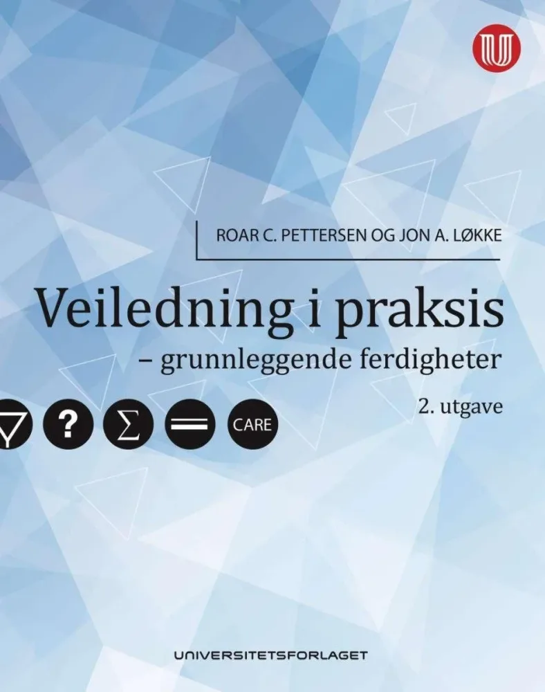 Veiledning i praksis - Bilde 2