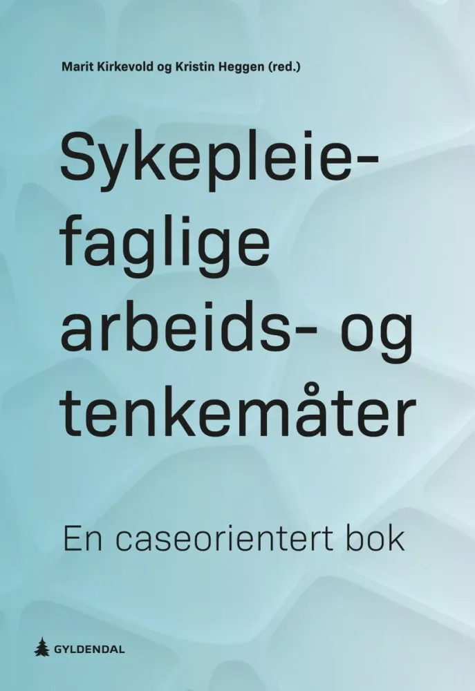 Sykepleiefaglige arbeids- og tenkemåter - Bilde 2
