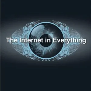 The Internet in Everything – Freedom and Security in a World with No Off Switch