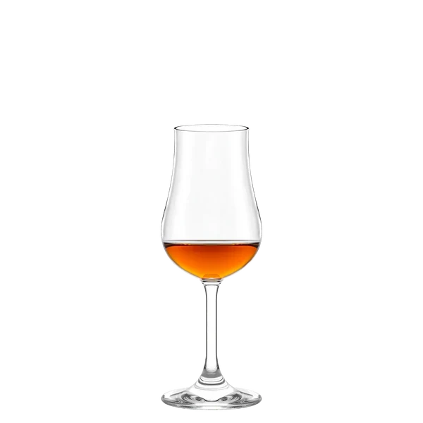 Tulipanglass Classic 185 ml 6 stk - Stölzle Lausits - Bilde 2