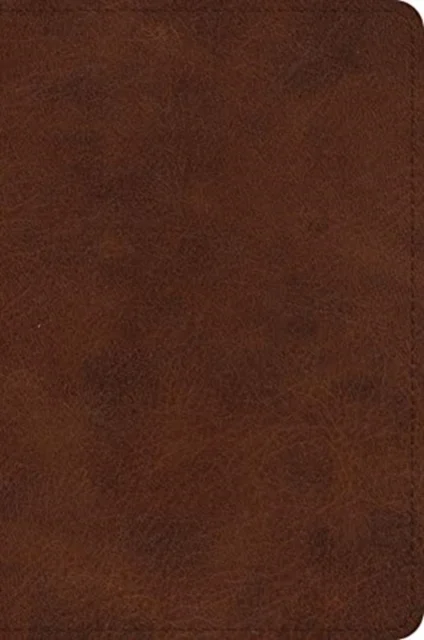 ESV Large Print Bible