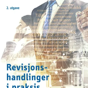 Revisjonshandlinger i praksis