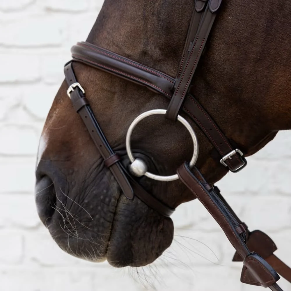 Dyon Flash Noseband Bridle Soft Leather Collection - Bilde 3