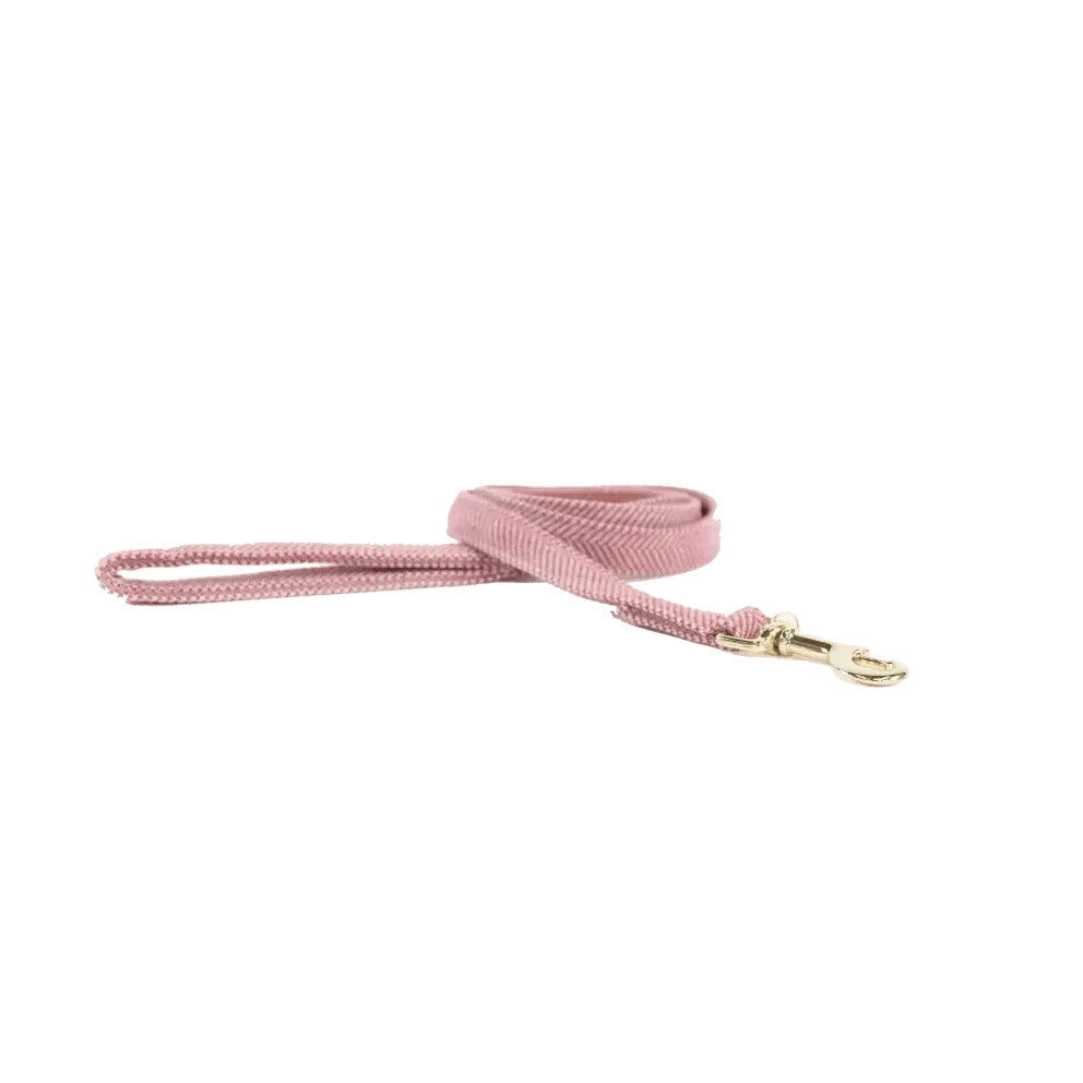 Kentucky Dog Lead Wool - Bilde 2