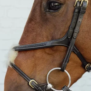 Dyon Plaited Figure 8 Noseband Bridle D Collection