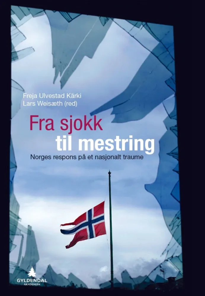 Fra sjokk til mestring - Bilde 2