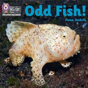 BIG CAT L&S_ ODD FISH BIG CAT L&S_ ODD FISH