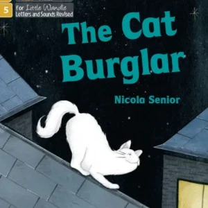 The Cat Burglar The Cat Burglar