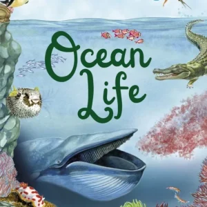 The Oceans Explored: Ocean Life The Oceans Explored: Ocean Life
