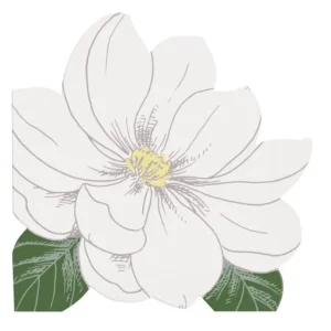 Servietter -Hvit Blomster- pk/16 Servietter -Hvit Blomster- pk/16