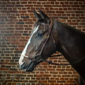 Dyon Rope Drop Noseband Bridle D Collection