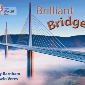 Brilliant Bridges Brilliant Bridges