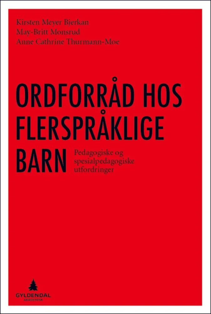 Ordforråd hos flerspråklige barn - Bilde 2