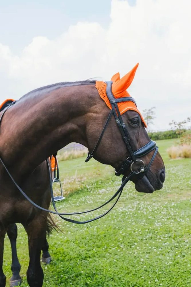 Kentucky Fly Veil Wellington Diamond Rope - Bilde 3