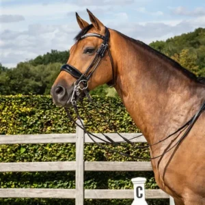 Dyon Patent Large Crank Noseband Double Bridle Rond Leather Collection